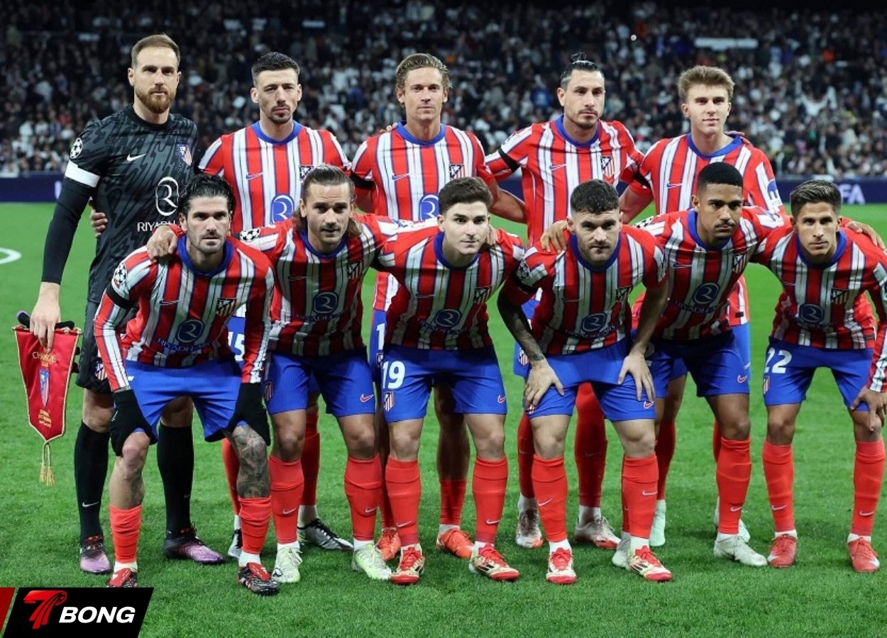 Đội hình Alentico